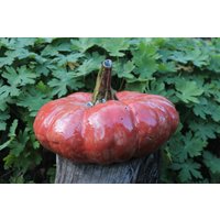 Riesiger Kürbis Für Die Gartendekoration, Halloween, Herbst, Gartenkeramik Riesiger Kürbis Für Die Gartendekoration, Halloween, Herbst, Gartenkeramik von AtelierKeramixx