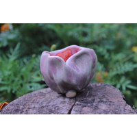 Schälchen, Schale, Schmuckschale, Ringschale Schälchen, Schale, Schmuckschale, Ringschale von AtelierKeramixx