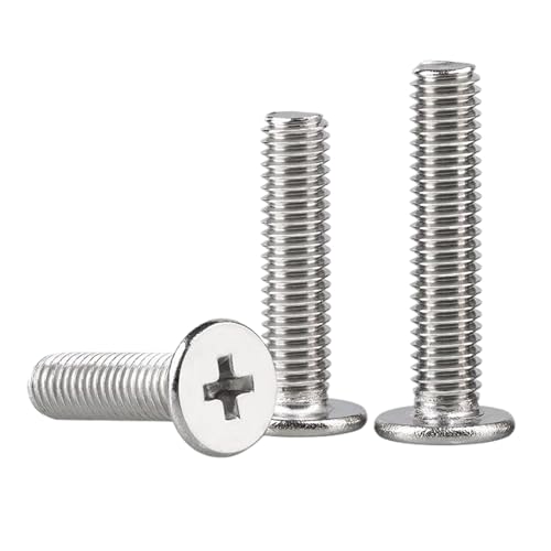 10 Stück M6 Flachkopfschrauben aus Edelstahl (Silber, 10Pcs-M6x60 mm) von Ateohwo