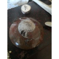 Ammonitenfossil Aus Marokko, Polierte Kieselstein-Mineraliensammlung von AthanorCreations