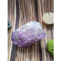 Geode Druse Amethyst Brasilien 232 G Lithotherapie Mineralkristalle Kuriositätenkabinett Sammlung von AthanorCreations