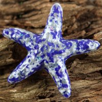 Machen Sie Einen Unterschied Ein Seestern Zu Einer Zeit... Galaxy Fused Glas Machen Sie Einen Unterschied Ein Seestern Zu Einer Zeit... Galaxy Fused Glas von AtlantisDesigns