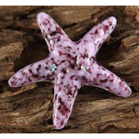 Machen Sie Einen Unterschied Starfish Zu Einer Zeit ... Lavender Verölnte Glas-Starfish Machen Sie Einen Unterschied Starfish Zu Einer Zeit ... Lavender Verölnte Glas-Starfish von AtlantisDesigns