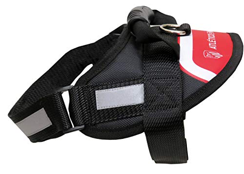 Atletico de Madrid - Hundegeschirr, gepolstert, atmungsaktiv, verstellbar, reflektierend, für mittelgroße Hunde, Größe M, 3 Größen erhältlich, Blaubeerfarben, offizielles Produkt (CyP Brands) Atletico de Madrid - Hundegeschirr, gepolstert, atmungsaktiv, verstellbar, reflektierend, für mittelgroße Hunde, Größe M, 3 Größen erhältlich, Blaubeerfarben, offizielles Produkt (CyP Brands) von CYPBRANDS