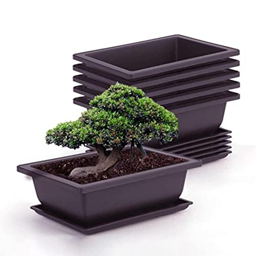 Atlnso 6 Stück Bonsai-Trainingstöpfe mit Tablett Blumentopf aus Kunststof Quadratischer Sukkulente Topfpflanzen Pflanztopf für Garten,Wohnzimmer und Büro von MRBRON