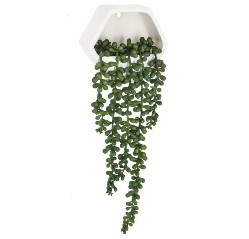 Kunstpflanze Zimmerpflanze, Atmosphera Créateur d'intérieur, Höhe 12.5 cm von Atmosphera Créateur d'intérieur