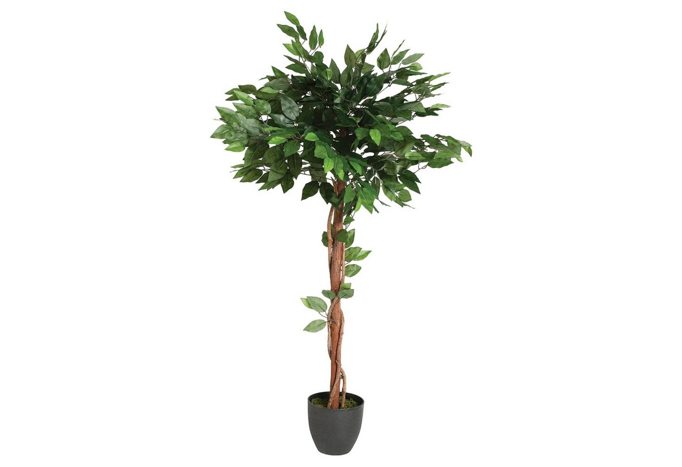 Kunstpflanze FICUS Zimmerpflanze, Atmosphera Créateur d'intérieur, Höhe 120 cm von Atmosphera Créateur d'intérieur