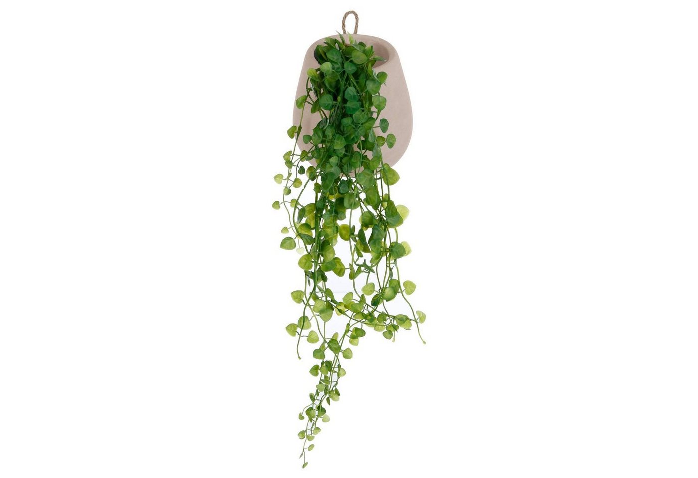 Kunstpflanze Zimmerpflanze, Atmosphera Créateur d'intérieur, Höhe 16.5 cm von Atmosphera Créateur d'intérieur