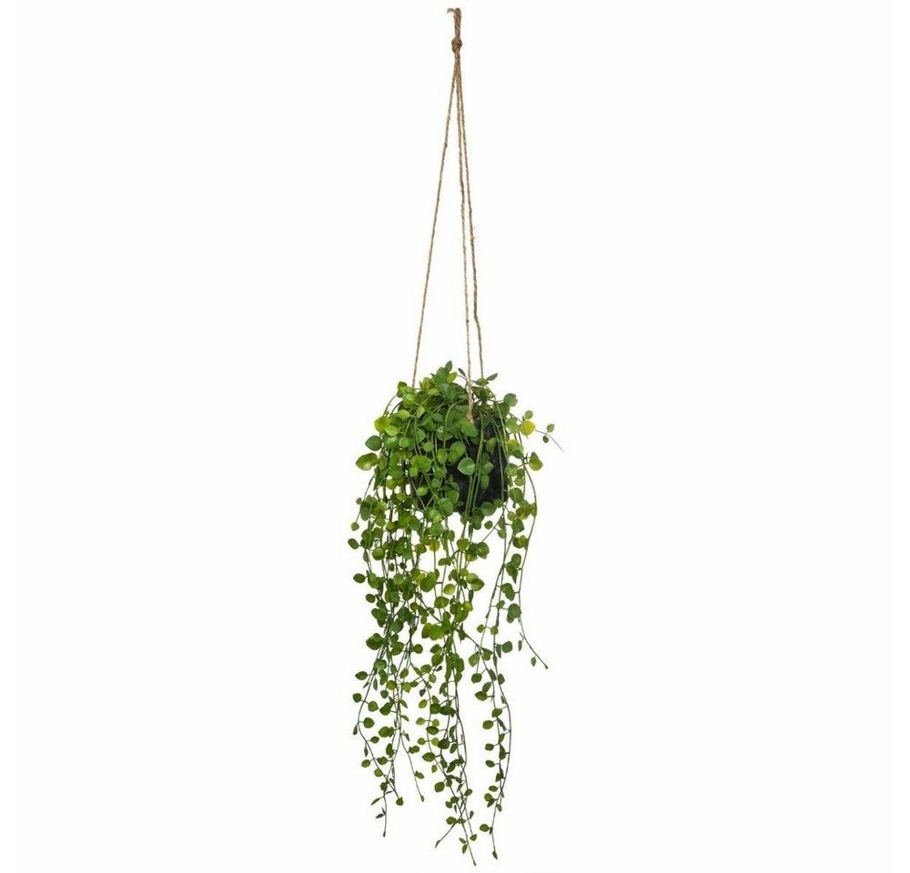 Kunstpflanze Zimmerpflanze, Atmosphera Créateur d'intérieur, Höhe 82 cm von Atmosphera Créateur d'intérieur