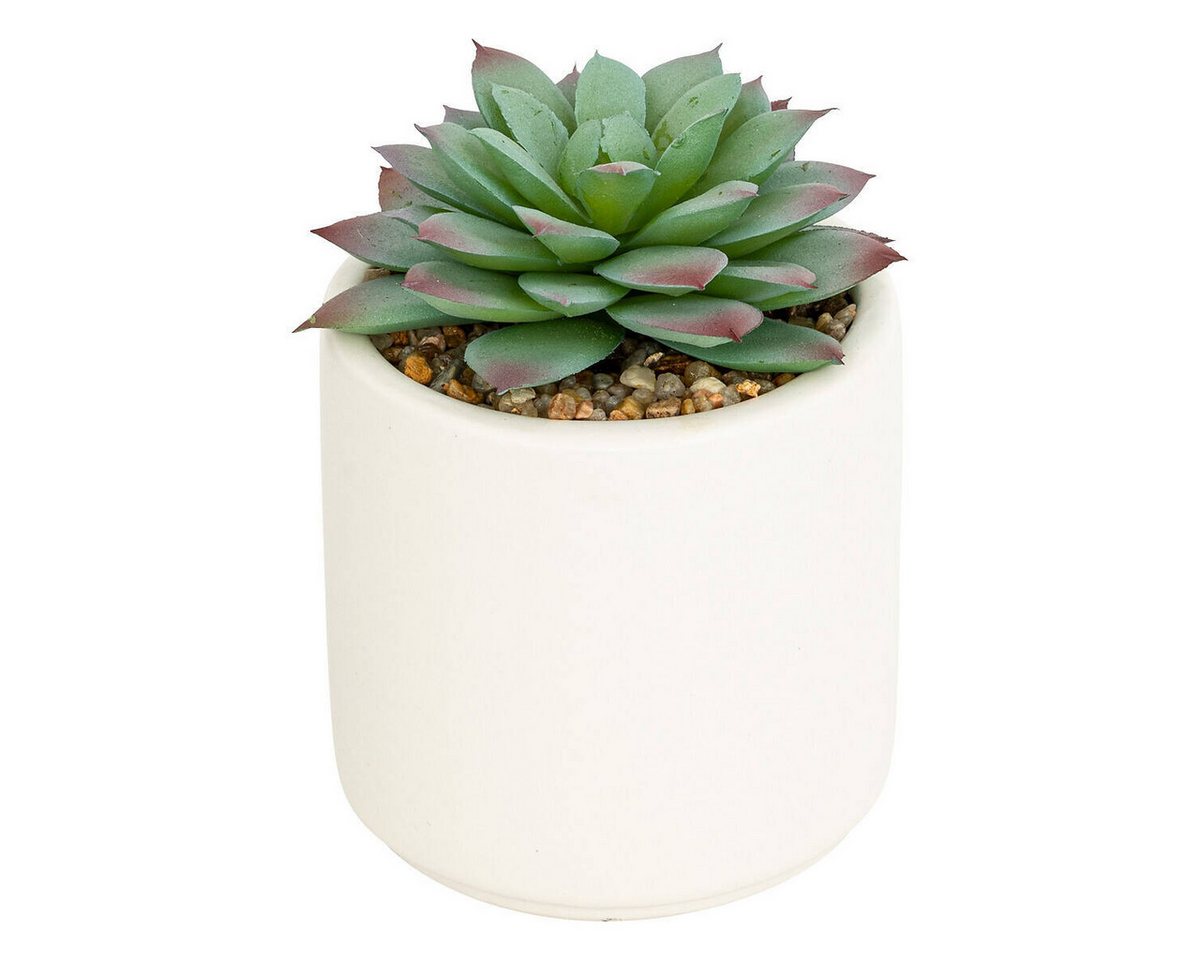 Kunstpflanze Zimmerpflanze, Atmosphera Créateur d'intérieur, Höhe 12 cm von Atmosphera Créateur d'intérieur