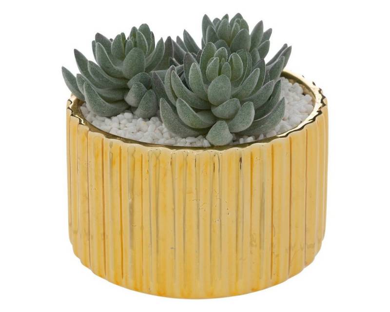 Kunstpflanze Zimmerpflanze, Atmosphera Créateur d'intérieur, Höhe 14.4 cm von Atmosphera Créateur d'intérieur