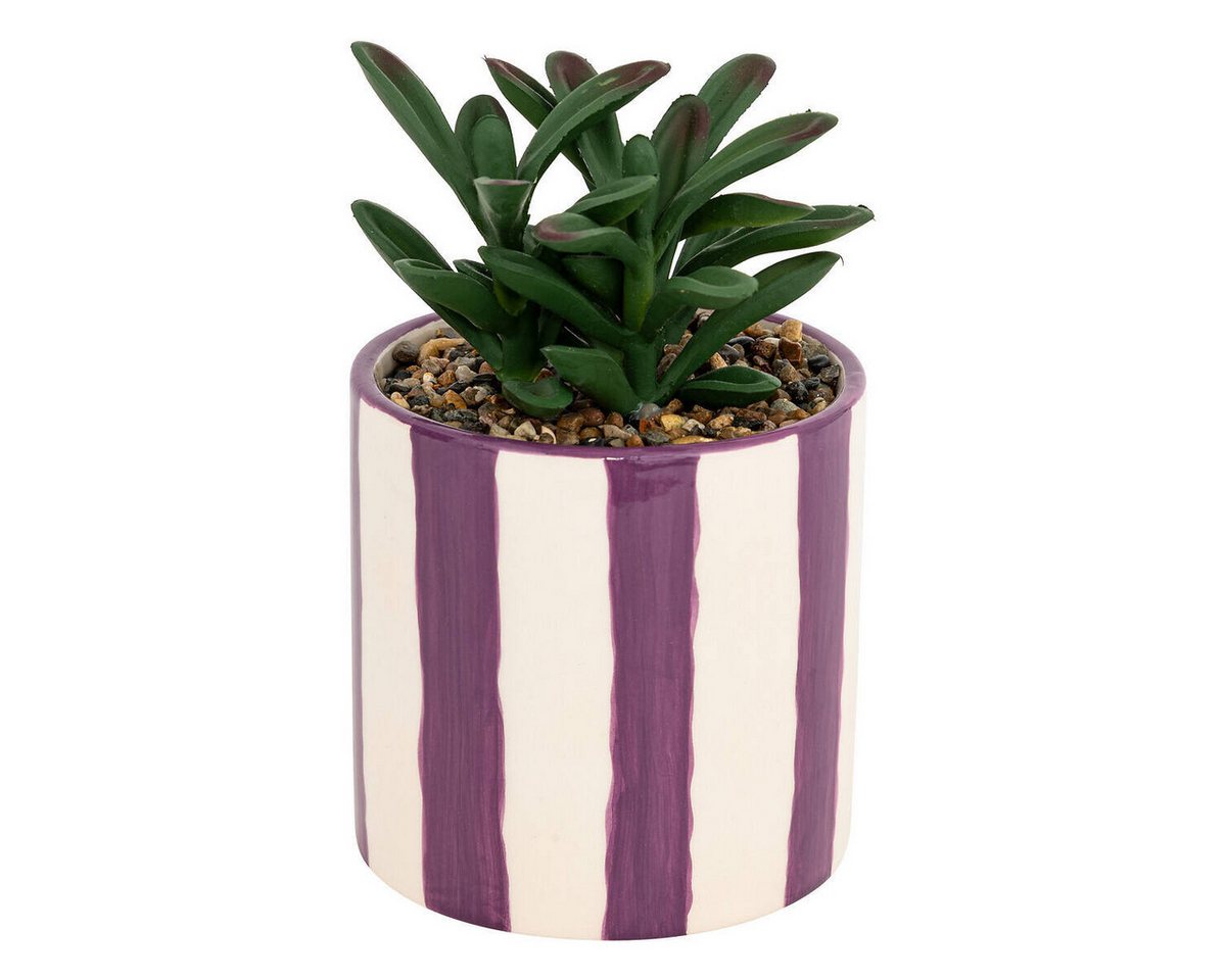 Kunstpflanze Zimmerpflanze, Atmosphera Créateur d'intérieur, Höhe 16.5 cm von Atmosphera Créateur d'intérieur