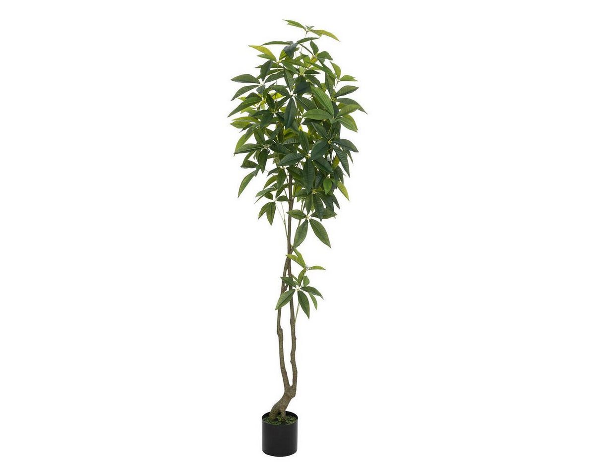 Kunstpflanze Zimmerpflanze, Atmosphera Créateur d'intérieur, Höhe 180 cm von Atmosphera Créateur d'intérieur