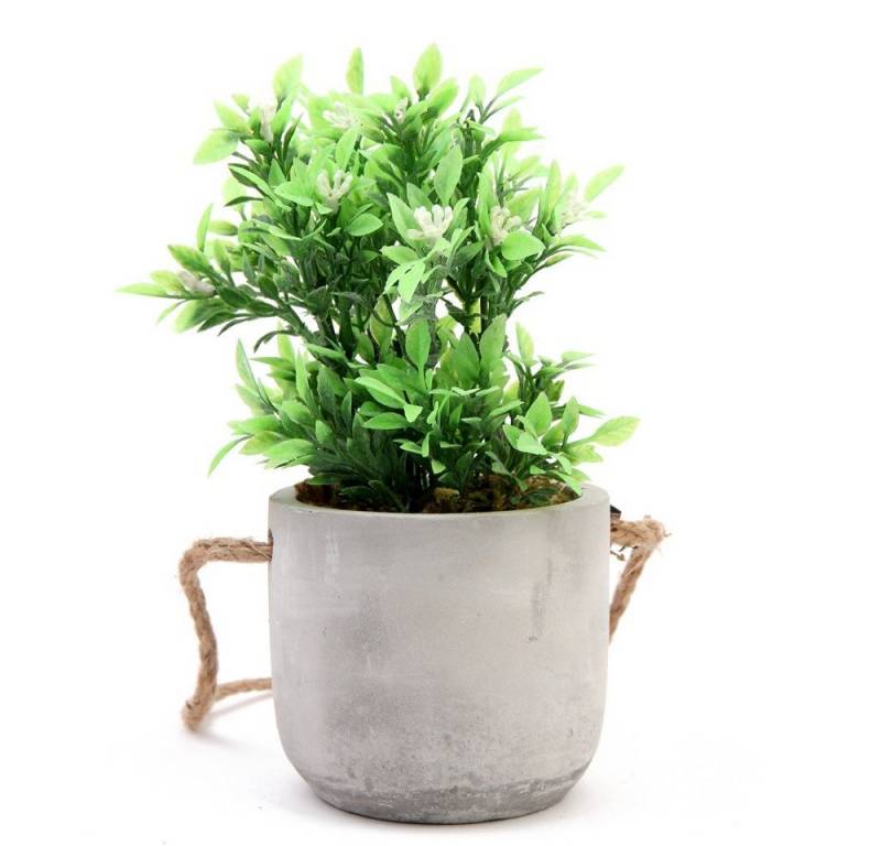 Kunstpflanze Zimmerpflanze, Atmosphera Créateur d'intérieur, Höhe 25 cm von Atmosphera Créateur d'intérieur