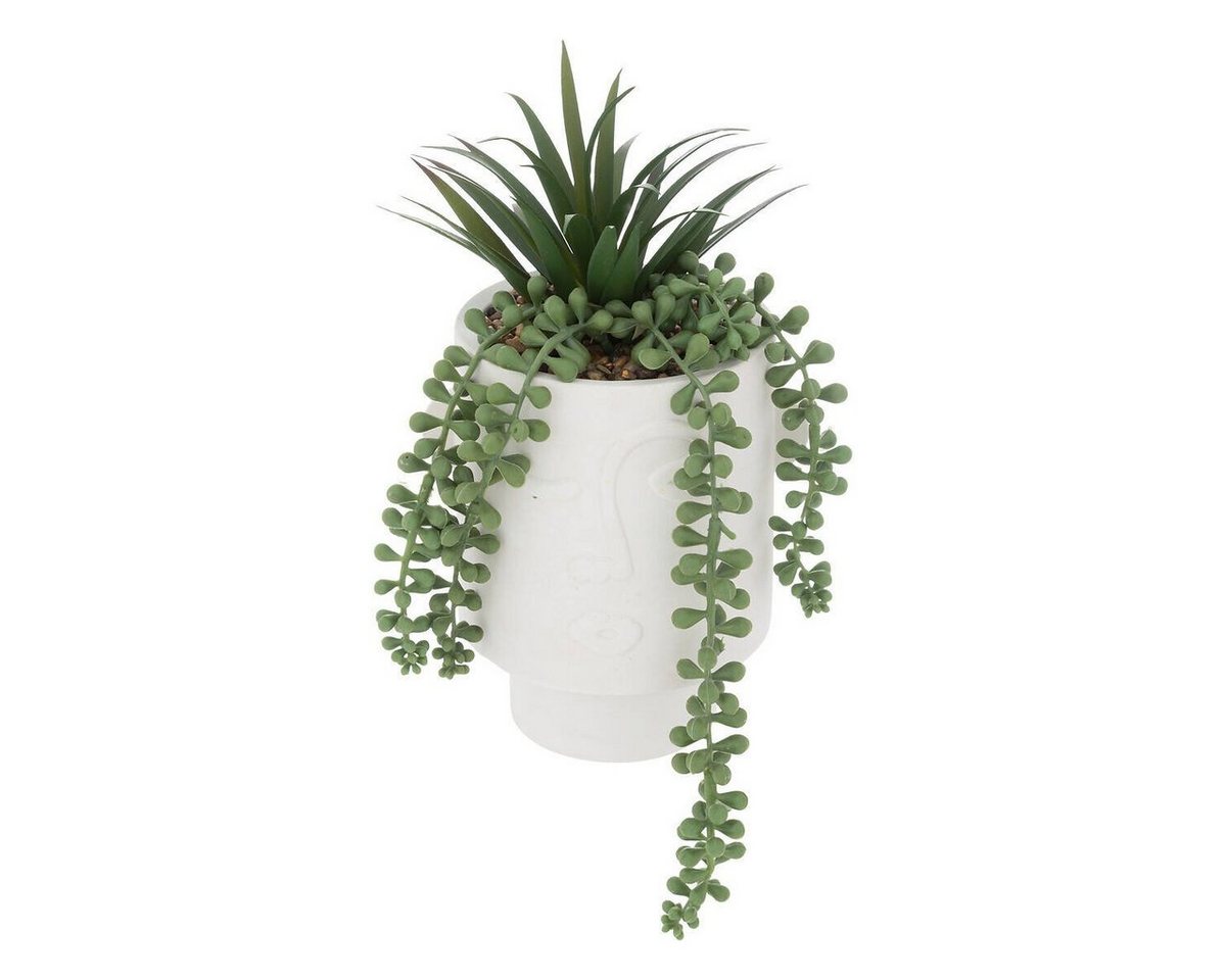 Kunstpflanze Zimmerpflanze, Atmosphera Créateur d'intérieur, Höhe 25 cm von Atmosphera Créateur d'intérieur