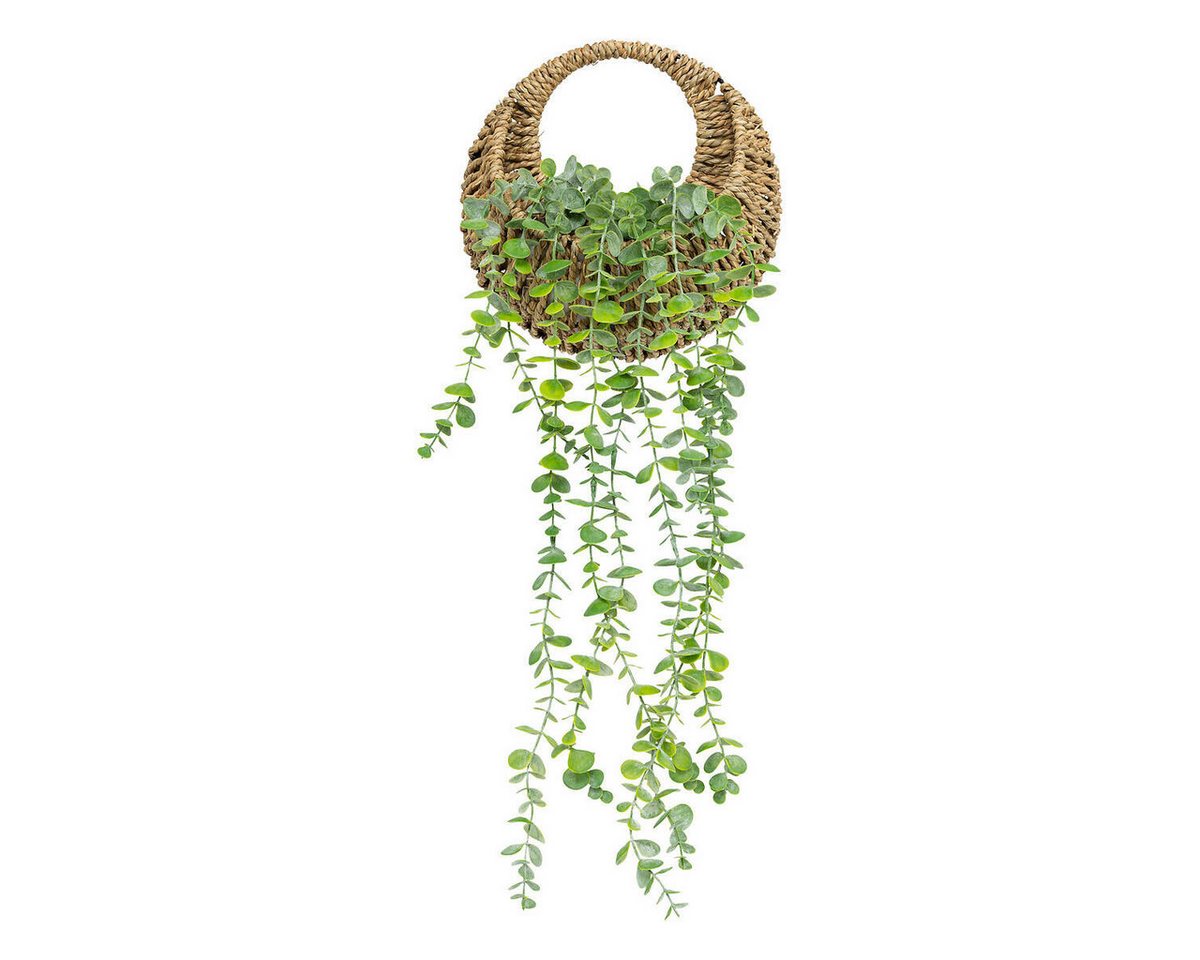 Kunstpflanze Zimmerpflanze, Atmosphera Créateur d'intérieur, Höhe 26 cm von Atmosphera Créateur d'intérieur