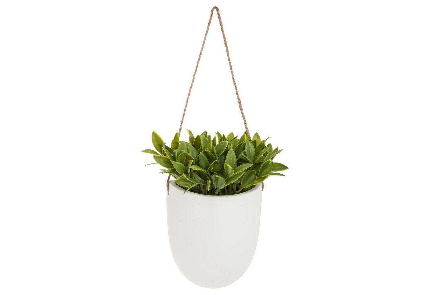 Kunstpflanze Zimmerpflanze, Atmosphera Créateur d'intérieur, Höhe 38.5 cm von Atmosphera Créateur d'intérieur