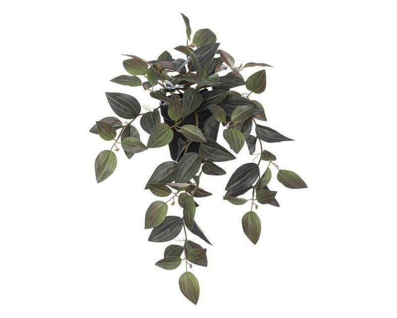 Kunstpflanze Zimmerpflanze, Atmosphera Créateur d'intérieur, Höhe 45 cm von Atmosphera Créateur d'intérieur