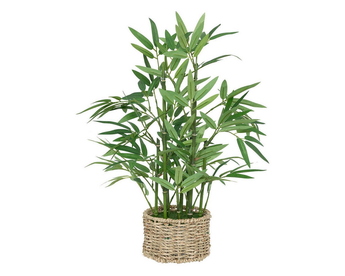 Kunstpflanze Zimmerpflanze, Atmosphera Créateur d'intérieur, Höhe 46 cm von Atmosphera Créateur d'intérieur
