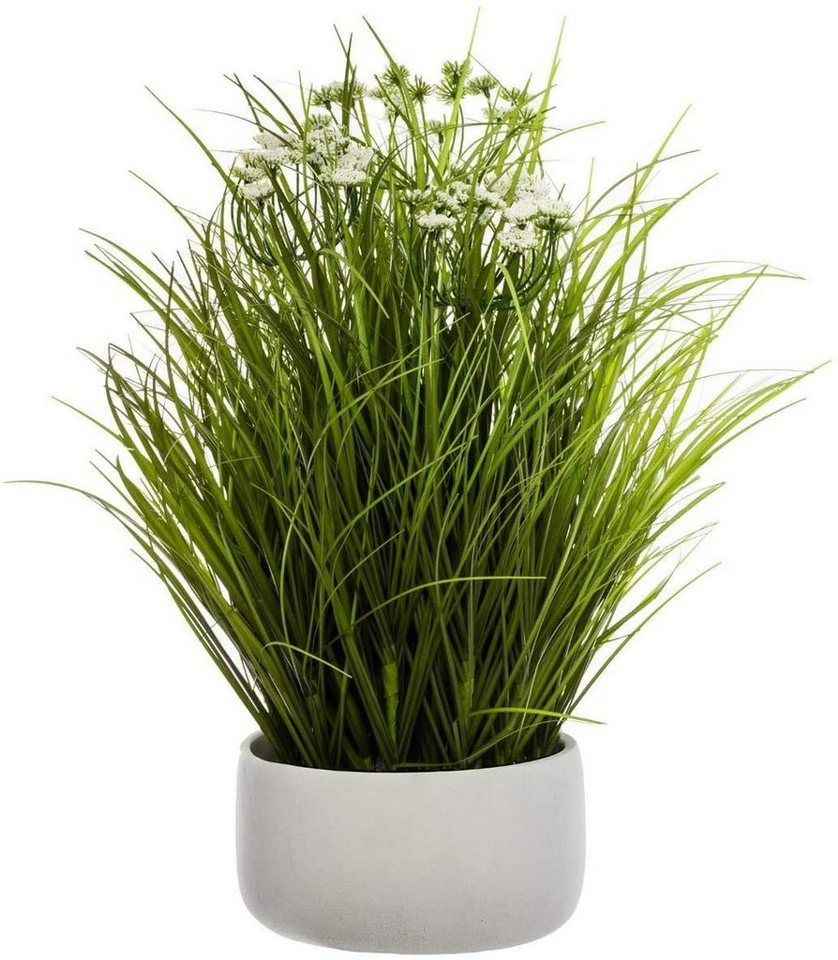 Kunstpflanze Zimmerpflanze, Atmosphera Créateur d'intérieur, Höhe 50 cm von Atmosphera Créateur d'intérieur