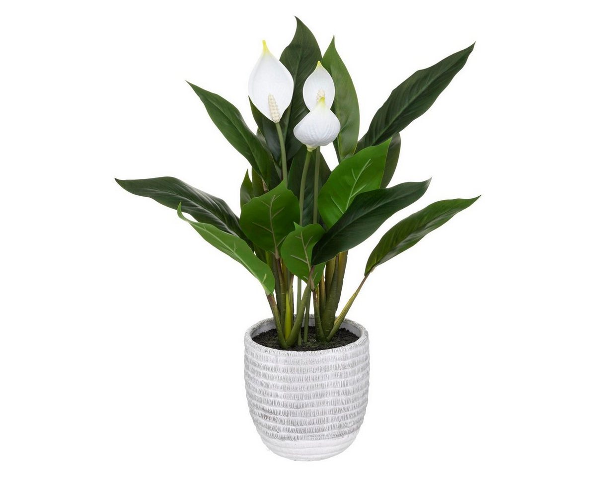 Kunstpflanze Zimmerpflanze, Atmosphera Créateur d'intérieur, Höhe 54 cm von Atmosphera Créateur d'intérieur