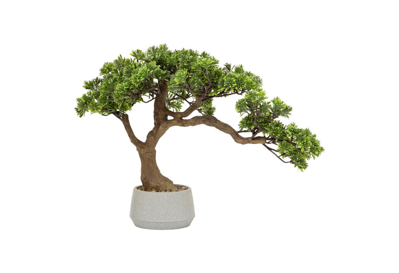 Kunstpflanze Zimmerpflanze, Atmosphera Créateur d'intérieur, Höhe 60 cm von Atmosphera Créateur d'intérieur