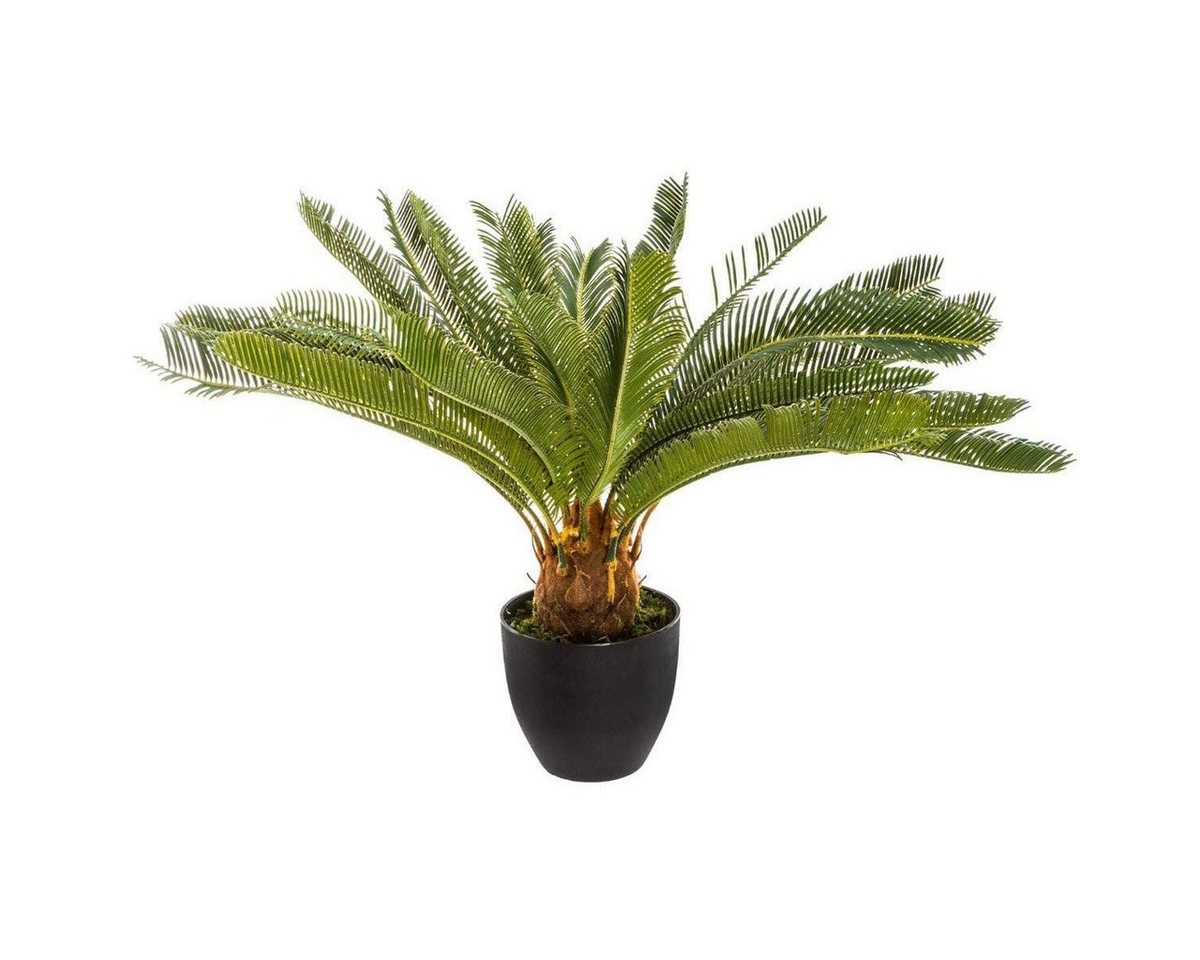Kunstpflanze Zimmerpflanze, Atmosphera Créateur d'intérieur, Höhe 68 cm von Atmosphera Créateur d'intérieur