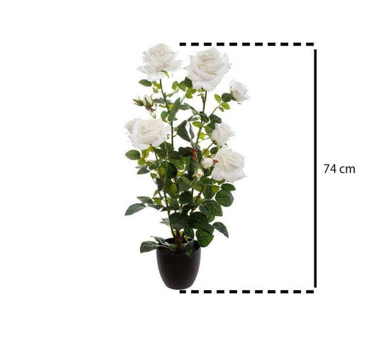 Kunstpflanze Zimmerpflanze, Atmosphera Créateur d'intérieur, Höhe 74 cm von Atmosphera Créateur d'intérieur