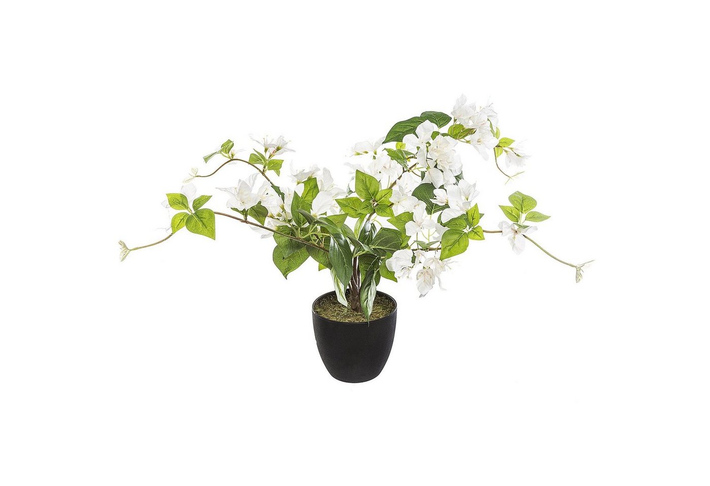Kunstpflanze Zimmerpflanze, Atmosphera Créateur d'intérieur, Höhe 76 cm von Atmosphera Créateur d'intérieur