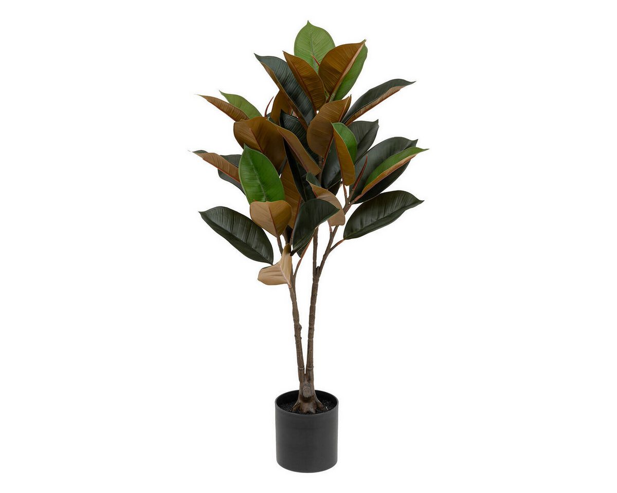Kunstpflanze Zimmerpflanze, Atmosphera Créateur d'intérieur, Höhe 76 cm von Atmosphera Créateur d'intérieur