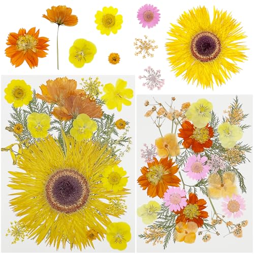 Attuslla 44 Stück DIY Getrocknete Gepresste Blätter Blumen, Orange NatüRliche Getrocknete Gepresste Blumen für Harz für Kunst Basteln DIY Harz Scrapbooking Handwerk von Attuslla