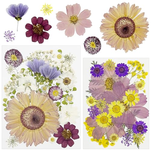Attuslla 44 Stück NatüRliche Getrocknete Gepresste Blumen für Harz, Lila DIY Getrocknete Gepresste Blätter Blumen für Kunst Basteln DIY Harz Scrapbooking Handwerk von Attuslla
