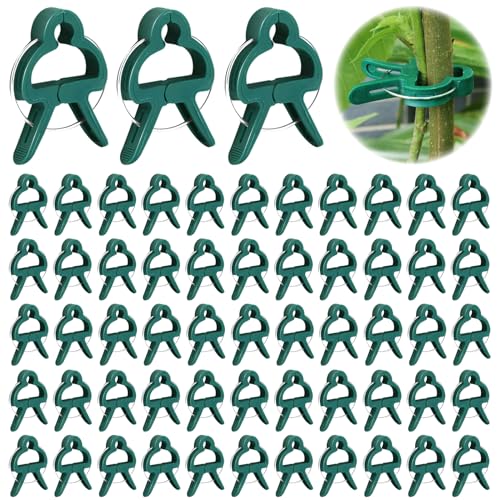 Atuoxing 100 Stück Pflanzenclips für Tomaten, Klammern für Pflanzen,Pflanzenklammern Groß Rankhilfe, Pflanzenklammern Wiederverwendbar(50 Große + 50 Kleine) von Atuoxing