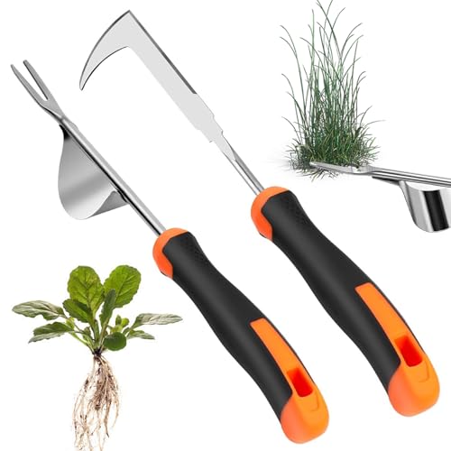 Atuoxing 2 Stück Unkrautstecher Edelstahl, Hand Unkraut Entferner Gerät, Löwenzahnstecher Entwurzeln, Unkraut Entfernen mit Stiel zum Jäten Umpflanzen Atuoxing 2 Stück Unkrautstecher Edelstahl, Hand Unkraut Entferner Gerät, Löwenzahnstecher Entwurzeln, Unkraut Entfernen mit Stiel zum Jäten Umpflanzen von Atuoxing