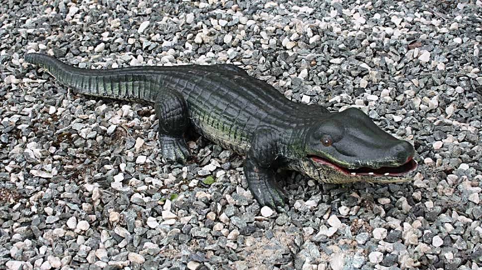 Aubaho Gartenfigur Krokodil Figur Gartenfigur Gusseisen Skulptur Alligator Teich Garten A von Aubaho