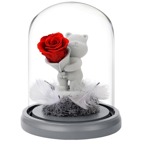Aublinto Ewige Rose Bär im Glas Geschenke für Frauen Geburtstagsgeschenk Rose Blume zum Valentinstag Frauen Rosen Bär Freundin Frau am Muttertag Geburtstag Valentinstag Jahrestag von Aublinto