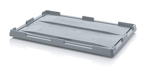Auer Big Box Auflagedeckel DE 1208 BB Grundmaß 120x80cm für Palettenbehälter | Schutzdeckel für Big Box zum Schutz vor Schmutz und Schäden | Robuster Deckel aus Kunststoff für Industriebehälter Auer Big Box Auflagedeckel DE 1208 BB Grundmaß 120x80cm für Palettenbehälter | Schutzdeckel für Big Box zum Schutz vor Schmutz und Schäden | Robuster Deckel aus Kunststoff für Industriebehälter von Auer Packaging