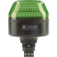 Auer Signalgeräte Signalleuchte LED IBL 802506313 Grün Dauerlicht, Blinklicht 230 V/AC von AUER SIGNALGERÄTE
