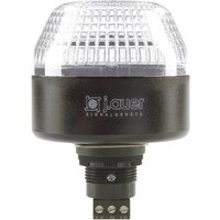 Auer Signalgeräte Signalleuchte LED IBL 802504405 Klar Dauerlicht, Blinklicht 24 V/DC, 24 V/AC von AUER SIGNALGERÄTE