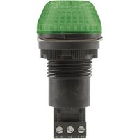 Auer Signalgeräte Signalleuchte LED IBS 800506404 Grün Grün Dauerlicht, Blinklicht 12 V/DC, 12 V/AC von AUER SIGNALGERÄTE