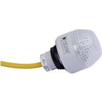 Auer Signalgeräte Signalleuchte LED IMM 801550405 Rot, Gelb, Grün Dauerlicht 24 V/DC, 24 V/AC von AUER SIGNALGERÄTE