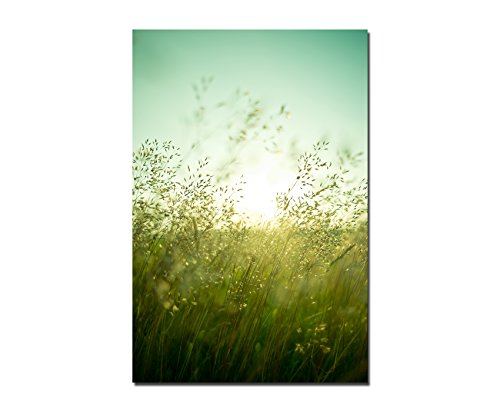 120x60cm - Fotodruck auf Leinwand und Rahmen Gräser Wiese Sonnenuntergang Sommer - Leinwandbild auf Keilrahmen modern stilvoll - Bilder und Dekoration von Augenblicke Wandbilder
