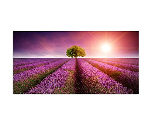 Augenblicke Wandbilder 120x60cm - Fotodruck auf Leinwand und Rahmen Lavendelfeld Sonnenuntergang Landschaft - Leinwandbild auf Keilrahmen modern stilvoll - Bilder und Dekoration von Augenblicke Wandbilder