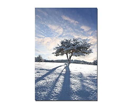 120x60cm - Fotodruck auf Leinwand und Rahmen Schnee Baum Schatten Winter - Leinwandbild auf Keilrahmen modern stilvoll - Bilder und Dekoration von Augenblicke Wandbilder