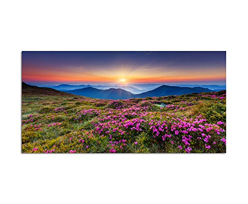 120x60cm - Fotodruck auf Leinwand und Rahmen Ukraine Blumenwiese Berge Sonne Natur - Leinwandbild auf Keilrahmen modern stilvoll - Bilder und Dekoration von Augenblicke Wandbilder