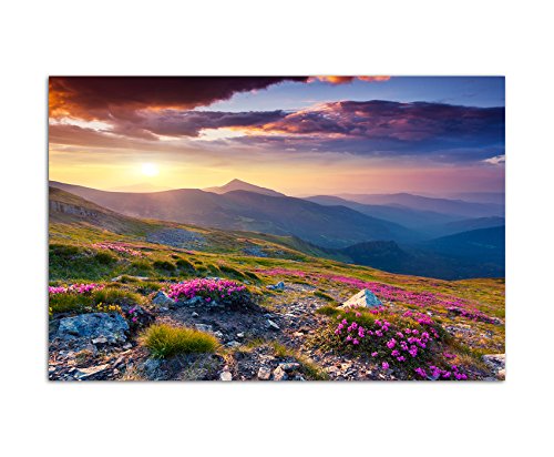 120x80cm - Fotodruck auf Leinwand und Rahmen Berge Alpenrosen Berge Himmel Sommer - Leinwandbild auf Keilrahmen modern stilvoll - Bilder und Dekoration von Augenblicke Wandbilder