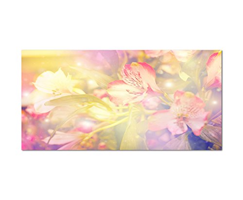 120x80cm - Fotodruck auf Leinwand und Rahmen Blüte Blume Hintergrund farbenfroh - Leinwandbild auf Keilrahmen modern stilvoll - Bilder und Dekoration von Augenblicke Wandbilder