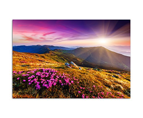 120x80cm - Fotodruck auf Leinwand und Rahmen Blumen Wiese Berge Sonne Ukraine - Leinwandbild auf Keilrahmen modern stilvoll - Bilder und Dekoration von Augenblicke Wandbilder