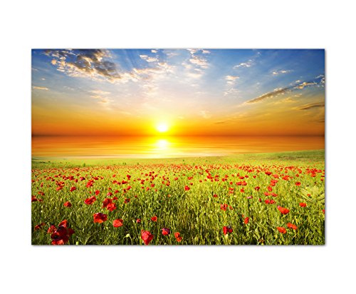 120x80cm - Fotodruck auf Leinwand und Rahmen Feld Gras Mohnblumen Himmel Sonne - Leinwandbild auf Keilrahmen modern stilvoll - Bilder und Dekoration von Augenblicke Wandbilder