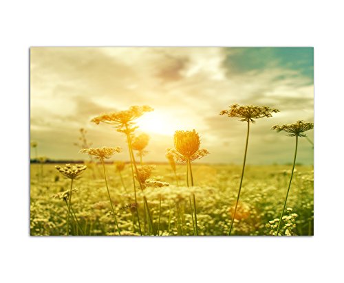 120x80cm - Fotodruck auf Leinwand und Rahmen Sommer Wiese Gräser Abendsonne - Leinwandbild auf Keilrahmen modern stilvoll - Bilder und Dekoration von Augenblicke Wandbilder
